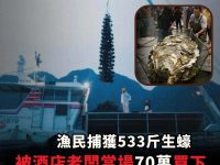 漁民捕獲533斤生蠔，被酒店老闆當場70萬買下，撬開外殼後，所有人傻眼了！