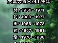 大富大貴人的出生年份，看完真準！
