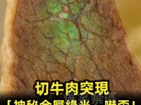 切牛肉突現「神秘金屬綠光」嚇歪！內行回答：長知識了