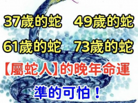 37歲的蛇，49歲的蛇，61歲的蛇，73歲的蛇，【屬蛇人】的晚年命運！