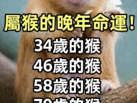34歲的猴，46歲的猴，58歲的猴，70歲的猴，「屬猴人」的晚年命運！準得可怕