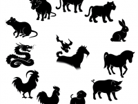 1月9號財運上上籤，偏財橫財不斷的五大生肖